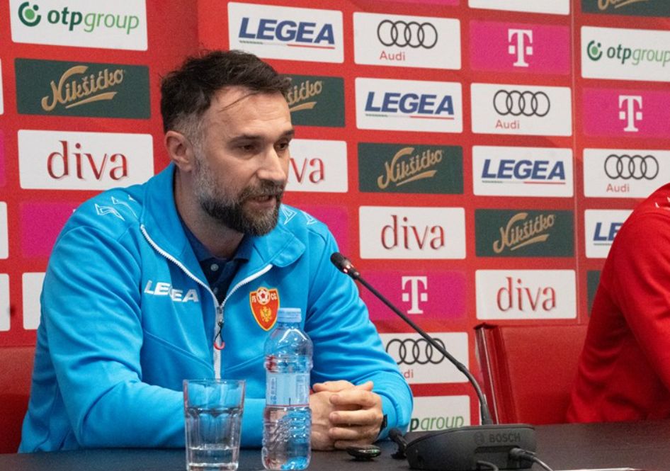 Vučinić: Svi u regionu su sretni zbog BiH, uspjeh je šta god naprave na SP