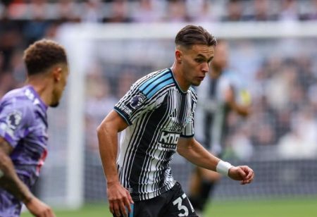 Newcastle United – Hull City, Premier League